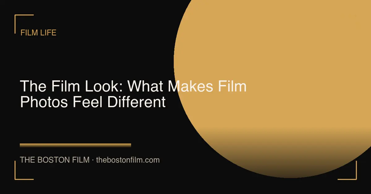 The Film Look: What Makes Film Photos Feel Different